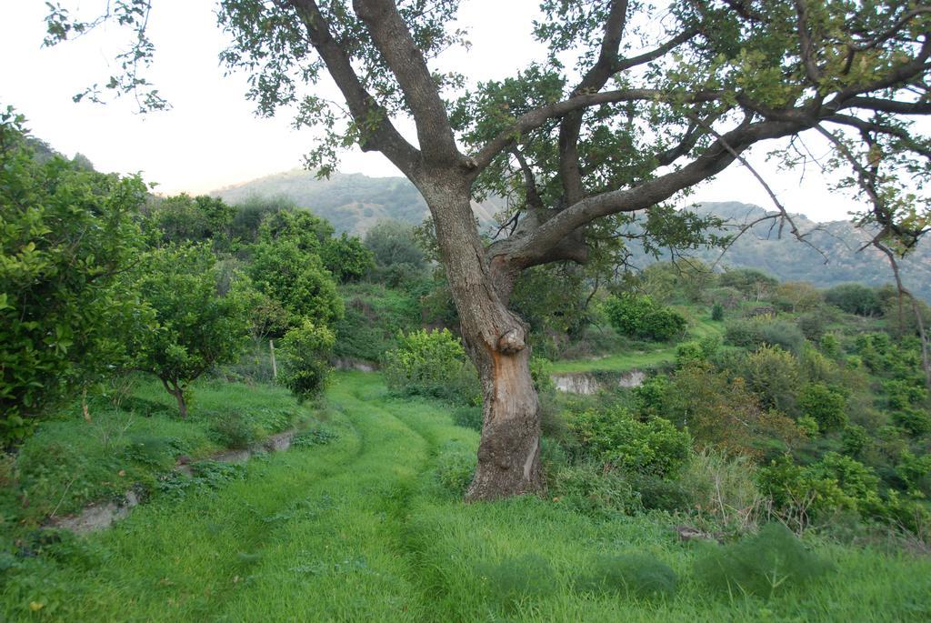 Casale Romano Resort E Relais Motta Camastra Dış mekan fotoğraf